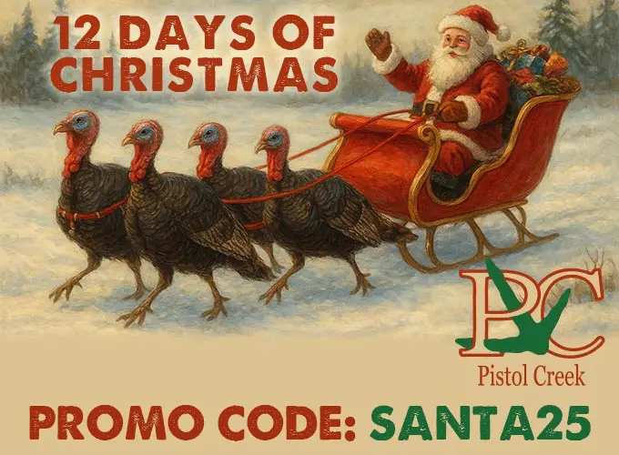 12 Days of Christmas Promo